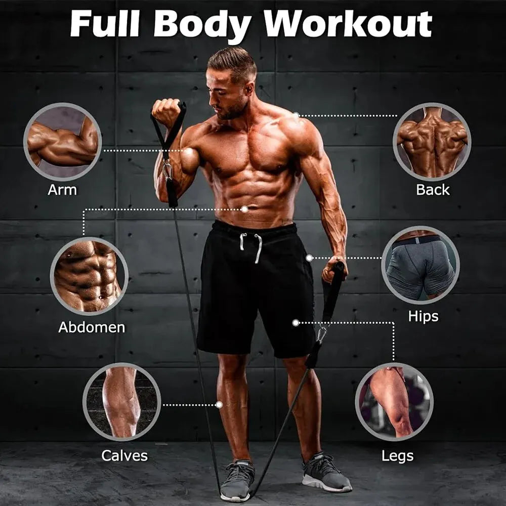 SEP Elastic Training Harness Complete Tension Strap Set for Strength & Workout